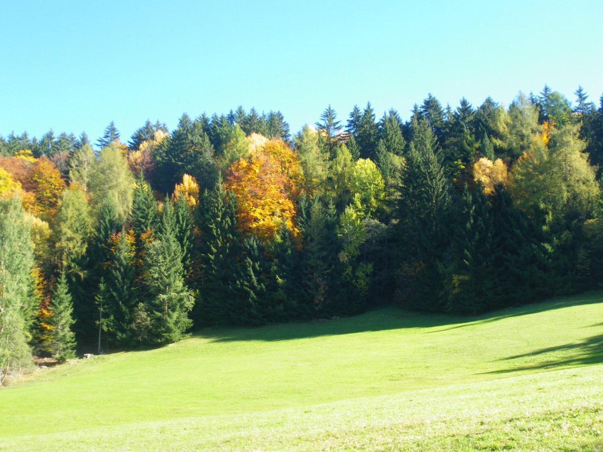 Appartments Neuhof Collalbo Luaran gambar